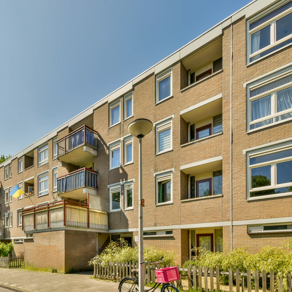Multi-Tenant service image